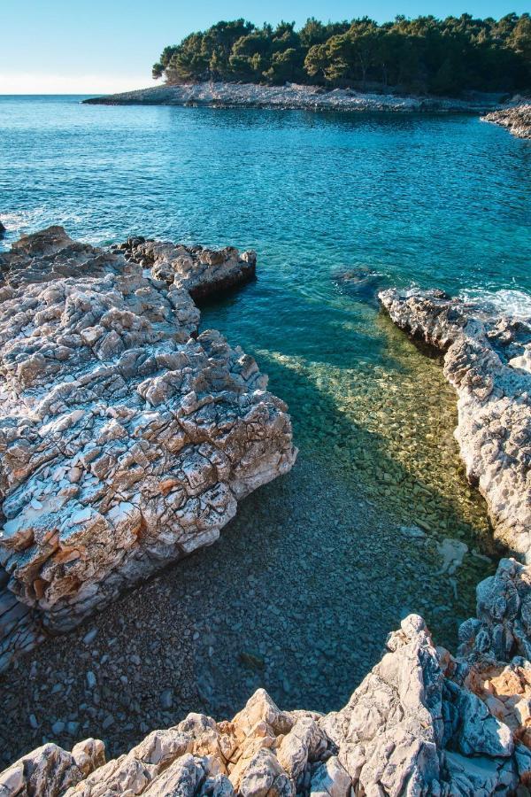 Apartment Antares Mali Losinj